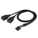 Cablecc によって10ピンマザーボード雌ヘッダにデュアルUSB 2.0雌アダプターケーブル50センチメートル