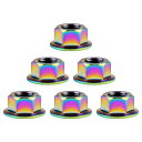 Ruifu 6個入チタン合金 M10 x 1.0 1.25 1.5 mm 六角 ナット フランジ (M10 1.25mm, レインボー)