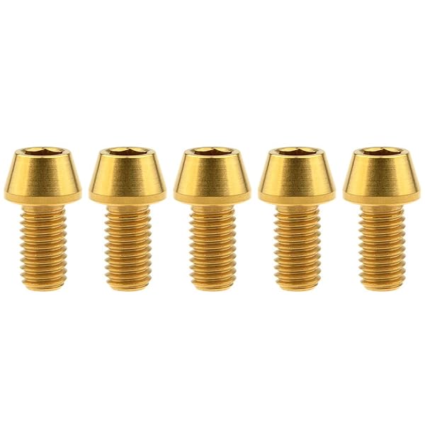 Ruifu M8x15 20 25 30 35 40 45 50 mm P1.25 チタン合金コニカルヘッド六角穴付ボルト 5個入 (M8x15mm, ゴールド)