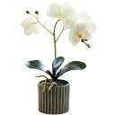 siawadeky 胡蝶蘭 造花 シルクフラワー 植木鉢付き アートフラワー 枯れない花 フェイクフラワー 本物そっくり 人工観葉植物 インテリア 装飾用 造花...