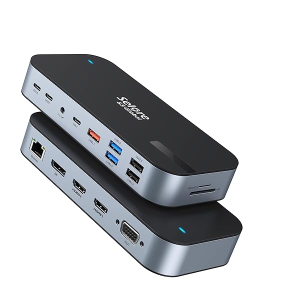 Selore 【16 in 1 MAX 4画面同時出力対応】 USB C ドッキングステーション type c Dock 100W PD対応 4K..