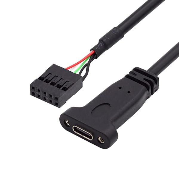 NFHK シングルポート USB 3.1 Type C USB-C メス - USB 2.0 マザーボード 9ピン 10ピン ヘッダーケーブル 20cm ブラケット付き