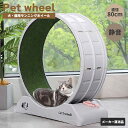後藤家具 ペット用 ランニングホイール キャットホイール 猫 小型犬 運動不足解消 室内運動 ダイエット 静音設計 DC-WHEEL-ABS(4)
