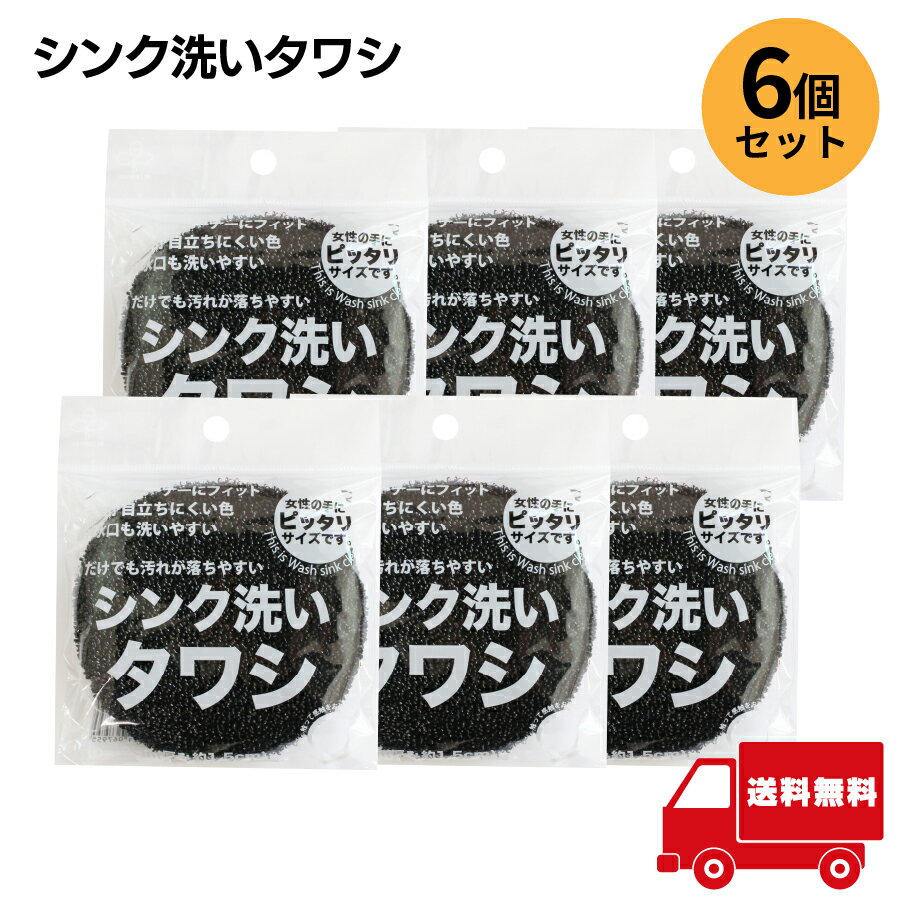 【6個セット】 サンベルム シンク洗いタワシ PETループ 収納吊りヒモ付き キッチンタワシ シンク掃除 ..