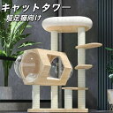 天然木製 キャットタワー 据え置き 大型猫 多頭飼い シニア猫 子猫 短足猫 高さ100cm 低段差 階段 爪とぎ 麻縄 交換 安定 組立簡単 猫タ