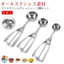 アイスクリームディッシャー 3個セット S M L ステンレス アイスクリームスプーン アイススクープ 業務用 飲食店 スプーン 小さい 料理