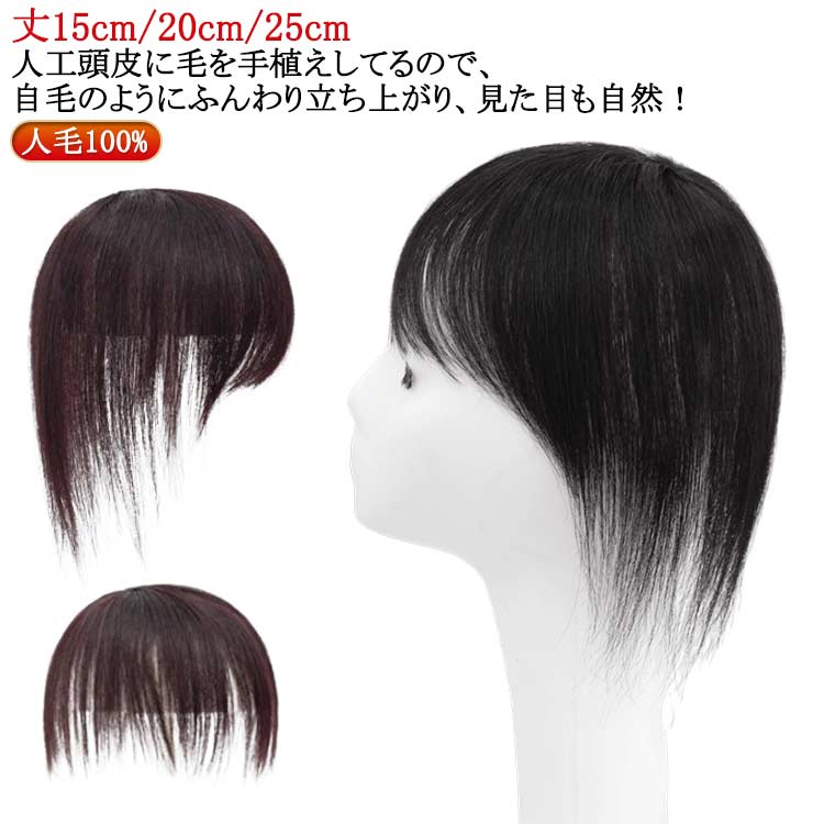 部分ウィッグ 頭頂部 女性 人毛 部分 ウィッグ トップカバー ヘアピース かつら 女性 増毛かつら トップウィッグ カバーピース ウイッグ