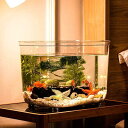 テラリウム 観葉植物 金魚鉢 水槽 飼育水槽 プラスチック テラリウム 透明アクリル 観葉植物 インテリア 容器 テーブル アクアリウム ボウル 水培 大容量 ...