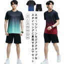 レディース メンズ ランニングウェア 2点セット 半袖 上下セット 薄手 tシャツ ハーフパンツ 春 短パン 夏 カジュアル 半袖Tシャツ スポ