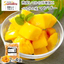 【スーパーセール限定! 15%OFF!】 冷凍マンゴー 500g 2袋~4袋 【最強配送】 当日出荷 1kg 1.5kg 2kg 無添加 マンゴー カットマンゴー アイス 一口サイズ カット ダイス 皮むき不要 濃厚 業務用 送料無料食品 ベトナム スミフル