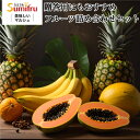 スミフル 贈答用 フルーツセット 約4kg 約7kg 果物 詰め合わせ 福袋 福箱 くだもの バナナ パパイヤ パイナップル 甘熟王 送料無料 厳選 フルーツギフト グルメ フルーツ 盛り合わせ 誕生日 お見舞い プレゼント ギフト 贈り物 セール 敬老の日 お歳暮