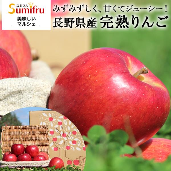 【長野りんご】長野県産の甘くて美味しいリンゴのおすすめは？