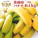 バナナ 業務用 約40本 甘熟王 訳あり 高地栽培 大量 7