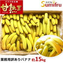 バナナ 業務用 約85本 甘熟王 訳あり 高地栽培 大量 1