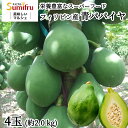 商品画像2