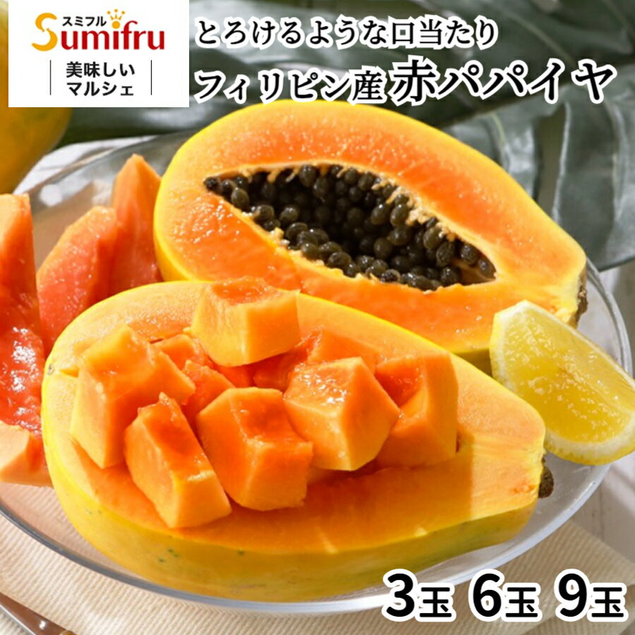 パパイヤ粉末 150g 粉末 パウダー パパイア フルーツフルーツパウダー 粉末シリーズ