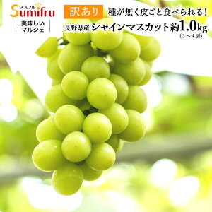 長野県産シャインマスカット【訳あり】 約1.0kg(3～4房) ぶどう 産地直送 贈答 プレゼント 長野県 タマファーム 【9月中旬～10月下旬発送】