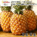 台湾パイン 金鑚王 大玉限定 3玉 6玉 10kg 金鑚パイン 台湾 パイナップル 台農17号 パイン 甘い 高糖度パイン 糖度 18度 ギフト スミフル 厳選...
