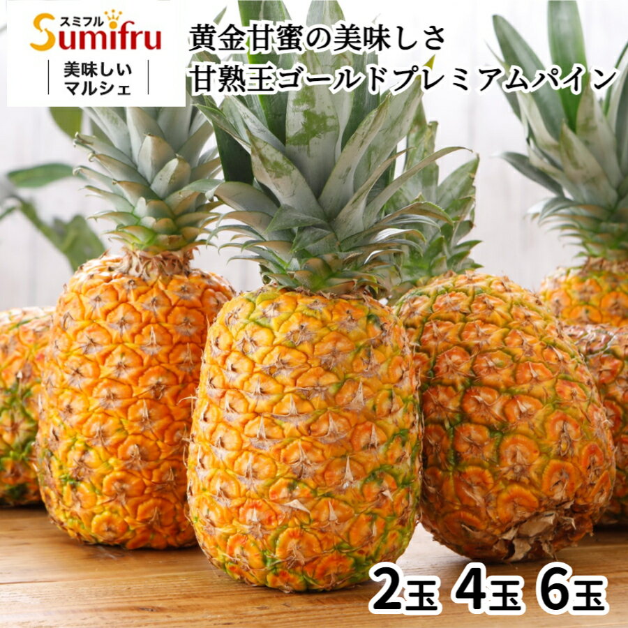 パイナップル 送料無料 沖縄 スナックパイン 2.5kg （約2玉-9玉入り）＜5月上旬より順次出荷＞ 国産 パイン ボゴールパイン 島パイン 沖縄 石垣島 西表 果物 フルーツ