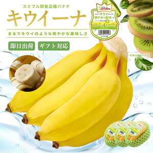 【高級バナナ】ちょっと贅沢で甘くて美味しいバナナのおすすめは？