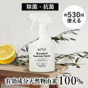 ボタニカルサニタイザースプレー 450ml SHE YOU Botanical Sanitizer Spary 抗ウイルス 抗菌スプレー 日本製/抗菌/抗ウイルス/無香料/非塩素系/消臭