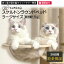 \ 毎月2日は にゃんダフルDAY ポイント 2倍! 肉球鑑賞OK♪ 耐荷重15kg以上のWベッド!/ あす楽 送料無料 日本メーカー 安心サポート 【SUMIKA スケルトンラウンドベッド L ラージサイズ】キャットタワー 猫 透明 ボール おしゃれ ナチュラル ハンモック ドーム 宇宙船 5,422円
