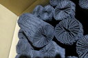 クヌギ、茶道用大 木炭 長さ15cm前後 直10cm前後 10kg×2箱--20kg運賃格安国産伊予クヌギインテリア、お飾り、消臭、調湿お部屋の飾りとしても大変上品で綺麗です。