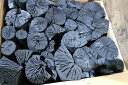 【2箱セット】楢切炭 黒炭6kg × 2 (12kg)