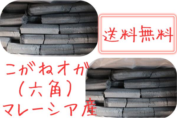 こがね オガ炭 10kg 9箱 90kg 六角 送料無料 業務用 備長炭仕上げ 高火力 長時間燃焼 焼肉 焼き鳥 炉端焼き 焼魚 バーベキュー BBQ キャンプ お花見 出店 コンロ 囲炉裏 火鉢 七輪 無煙ロースター 灰少ない 煙少ない 匂い少ない 爆ぜにくい 安い おがたん オガタン(10001549)