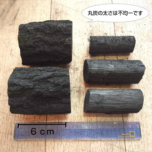 しらおい木炭 2kg 2箱入(ナラ・丸炭) 約6cm国産 北海道産北海道より産地直送!菊割れ・茶道炭・茶の湯炭 黒炭バーベキュー木炭 BBQ アウトドア ソロキャンプ レジャー 行楽 バーベキュー 消臭 火鉢 囲炉裏などに/2キロ通販格安セール情報 楽天 通販