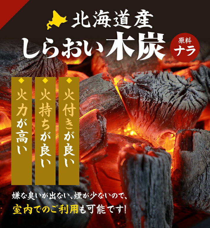 しらおい木炭6kg(バラ炭) 炭 キャンプ・行楽・BBQにおすすめ!七輪 コンロでのバーべキュー 焼き肉に!消臭 除湿にも!国産・北海道産 黒炭 木炭/ ※4個まで同梱可/通販格安セール情報 楽天 通販