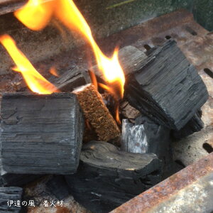 着火材 2シート入(12回分)バーべキュー キャンプ 薪ストーブの火おこしに 着火剤 焚き付け たきつけ/【国産】/通販格安セール情報 楽天 通販