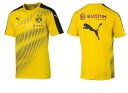プーマ 2017 puma-750719-01 ボルシア ドルトムント BVB スタジアム ジャージー スポンサーロゴ プラクティス シャツ