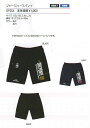 ダウポンチ DALPONTE 2016FW DPZ64 ジャージハーフパンツ