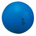 ニシ・スポーツ(NISHI) T5512 スローイングボール ゴム製 0.6kg NC(960)(4)
