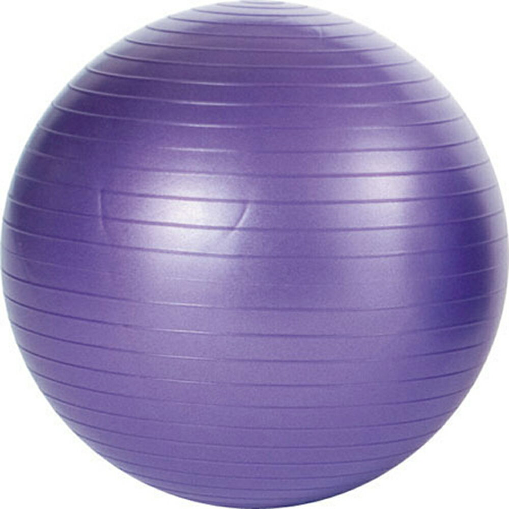エバニュー EVN-ETB601 etb601 ノンバースト バランスボール55 紫 メンズ・ユニセックス