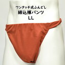 <送料無料> お祭り用品 ワンタッチ式 締め込み褌パンツ 柄:無地 色:茶色 サイズ:LL(特大) [ 祭り 衣装 お祭り衣装 祭り用品 フンドシ 褌 締め込み...