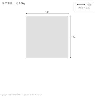 キルトラグ 洗える 正方形 保温綿入り撥水キルトラグ 〔ヒートフロア〕 190x190cm 保温綿 あったか ふわふわ とろける 敷き こたつ敷布団 無地 ベーシック 撥水 キルト 滑り止め 折り畳み コンパクト