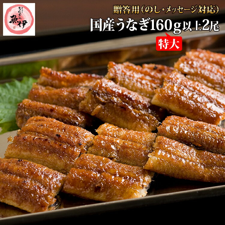 【贈答用】地焼き蒲焼き2尾（特大160g〜174g）全包装・熨斗・メッセージカード対応〔炭焼きうなぎの魚伊/国内産ウナギ使用/中元/歳暮/ギフト/土用丑/ 鰻/国内産/誕生日/プレゼント/グルメ/お祝い〕_