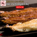 うなぎ蒲焼き2尾 白焼き2尾 《百貨店 共通ギフト》 国内産 地焼き鰻 (蒲焼き140g-159g 白焼き130g-149g) 炭焼きうなぎの魚伊 鰻 うなぎ ...
