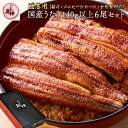 地焼き蒲焼6尾セット（1尾あたり140g〜159g）〔炭焼きうなぎの魚伊/国内産ウナギ使用/中元/歳暮/ギフト/土用丑/ 鰻/国内産/誕生日/プレゼント/グルメ/お祝い〕_