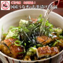 楽天市場限定【送料無料のお試し2