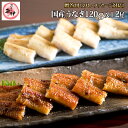 【贈答用】地焼き蒲焼き1尾・白焼き1尾（蒲焼120g〜139g/白焼110g〜129g）〔炭焼きうなぎの魚伊/国内産ウナギ使用/中元/歳暮/ギフト/土..