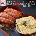 うなぎ蒲焼き3尾 白焼き3尾《百貨店 共通ギフト》 国内産 地焼き鰻 (蒲焼き140g-159g 白焼き130g-149g) 炭焼きうなぎの魚伊 鰻 うなぎ ウ...