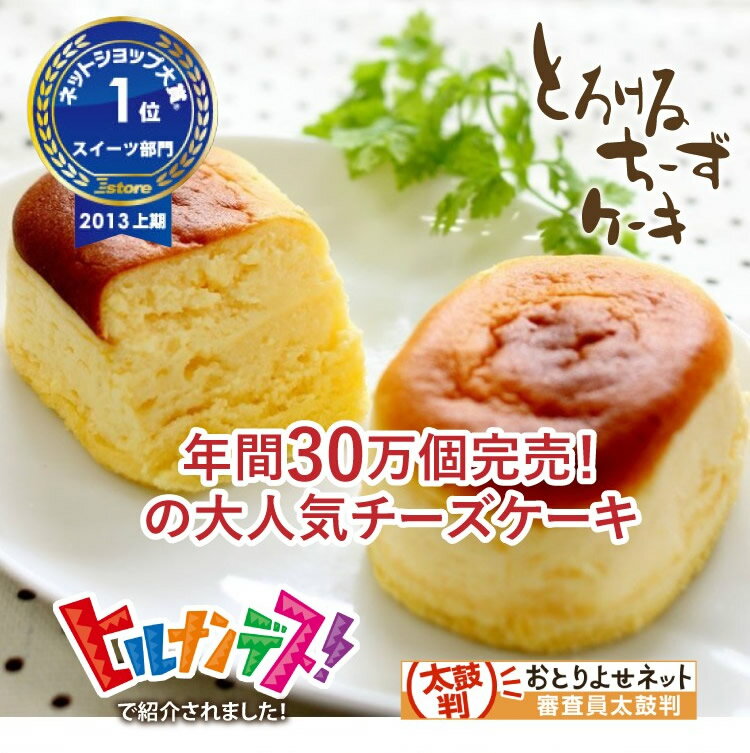 とろけるチーズケーキ 10個セット ★ バレンタイン 2019 チョコ以外 ホワイトデー スイーツ 誕生日 バースデー 洋菓子 ポイント消化 お菓子 お試し プレゼント 手土産 ギフト