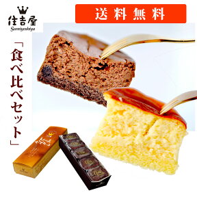 チーズケーキ チョコレートケーキ 10個 チョコレート スフレ チーズ ケーキ 取り寄せ 個包装 大量 職場 スイーツ ギフト プレゼント 洋菓子 美味しい お取り寄せ お菓子 高級 お取り寄せ 高級菓子 ばらまき 母の日 退職 お礼 お菓子個包装 退職時お菓子 退職時のお菓子