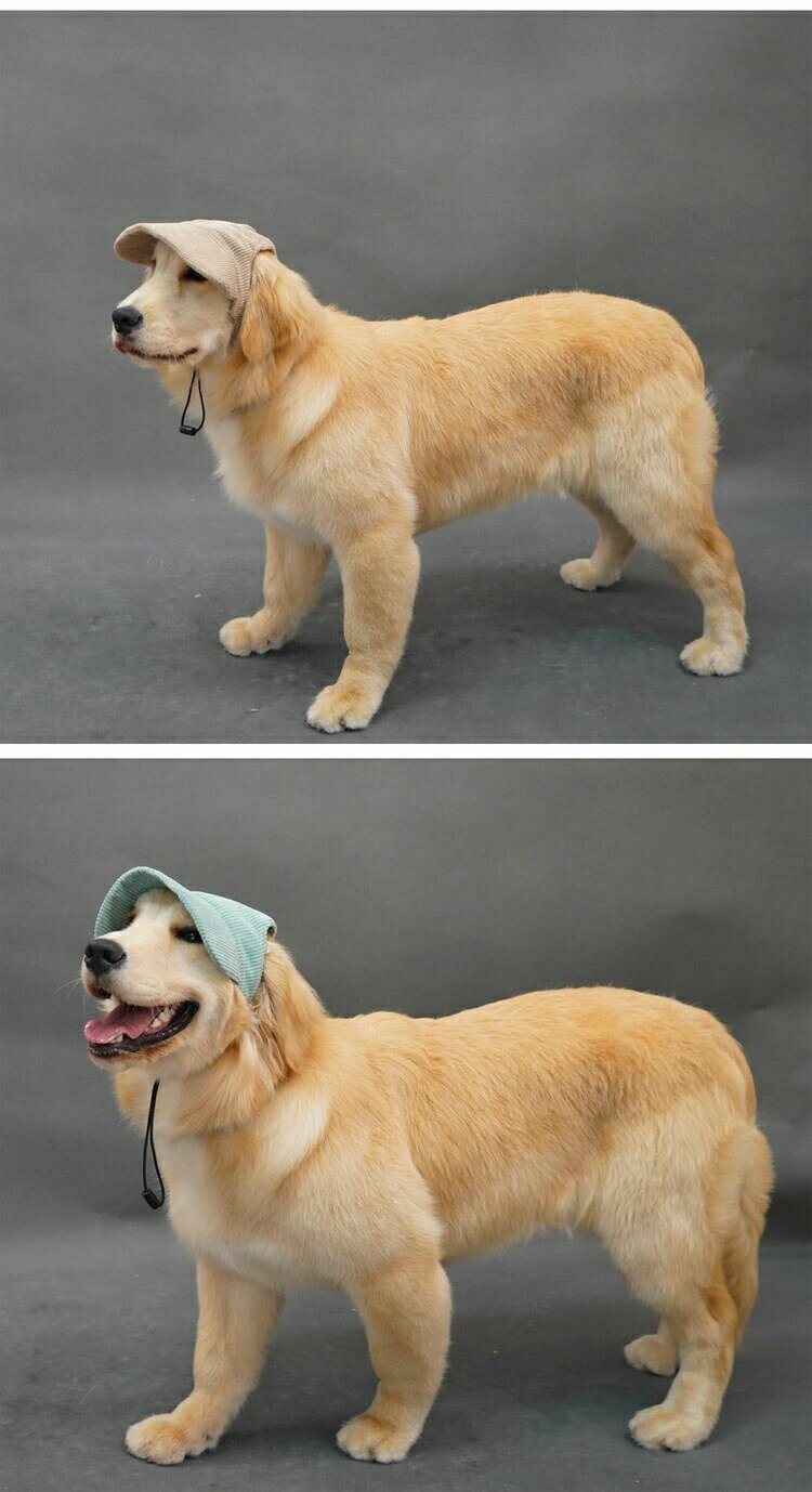 サンプル画像2