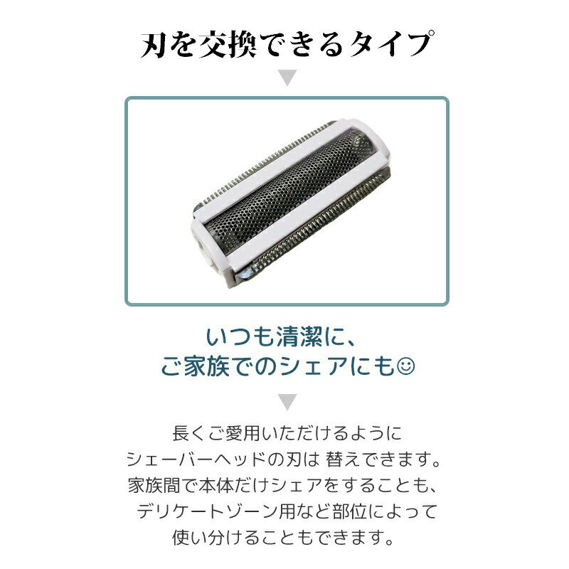 LD-169 電気シェーバー 専用替え刃 1枚 替刃 替え刃 ボディーシェーバー レディー...