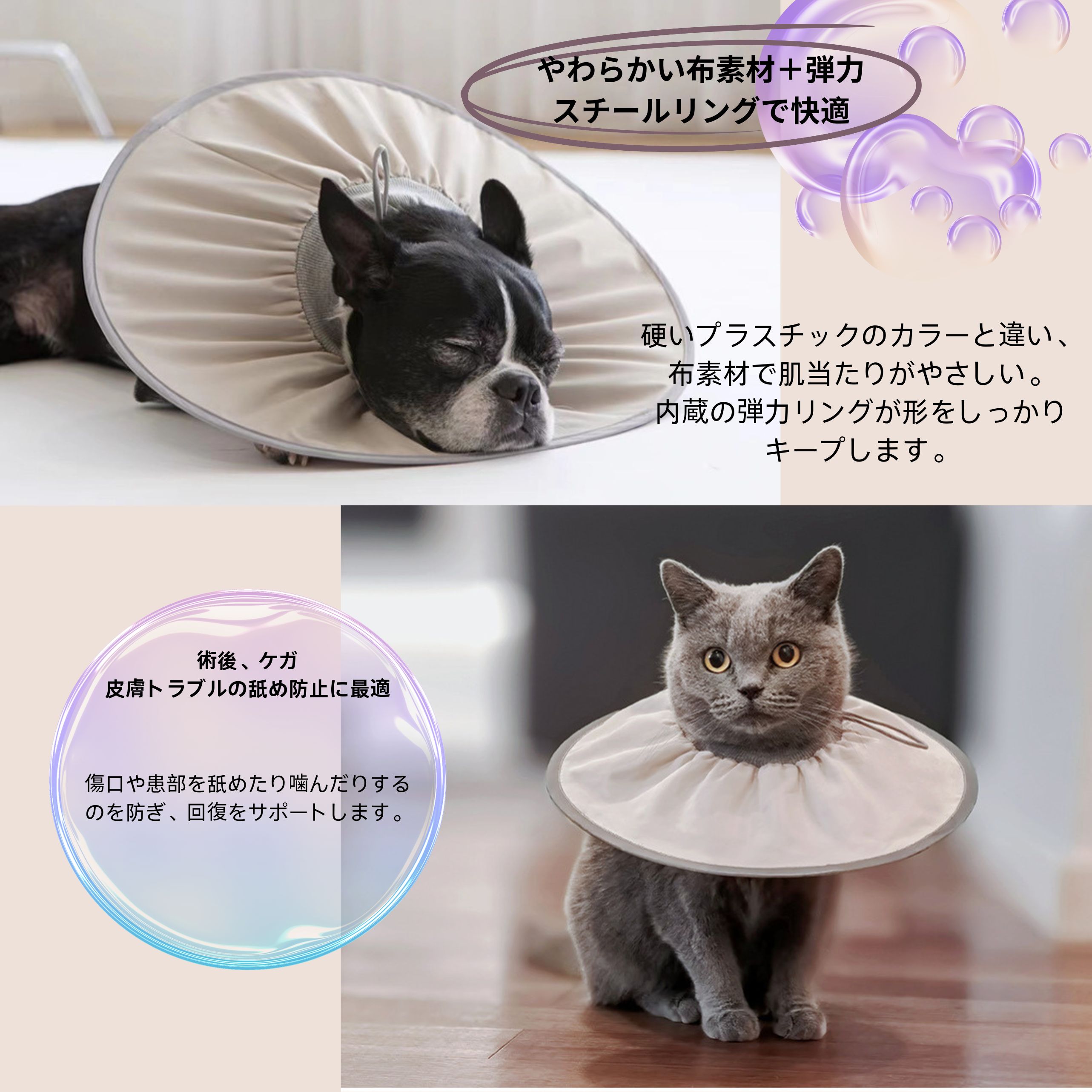 サンプル画像2