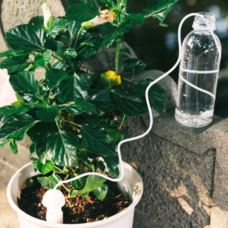 観葉植物 栄養 水やり 自動給水キャップ 自宅 0.8m 自動水やり器 1.5m 水やり機 水...